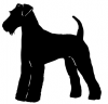 Airdale_Terrier_-_DOG002