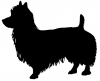 Australian_Terrier_-_DOG012