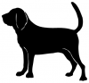 Bloodhound_-_DOG026