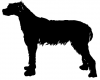 Irish_Wolfhound_-_DOG105