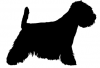 West_Highland_Terrier_-_DOG195